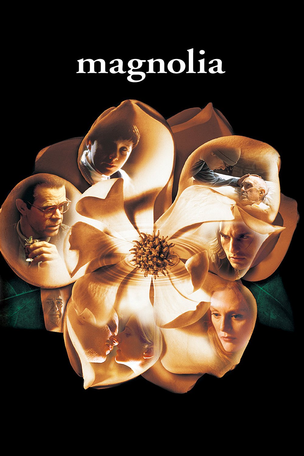 Magnolia